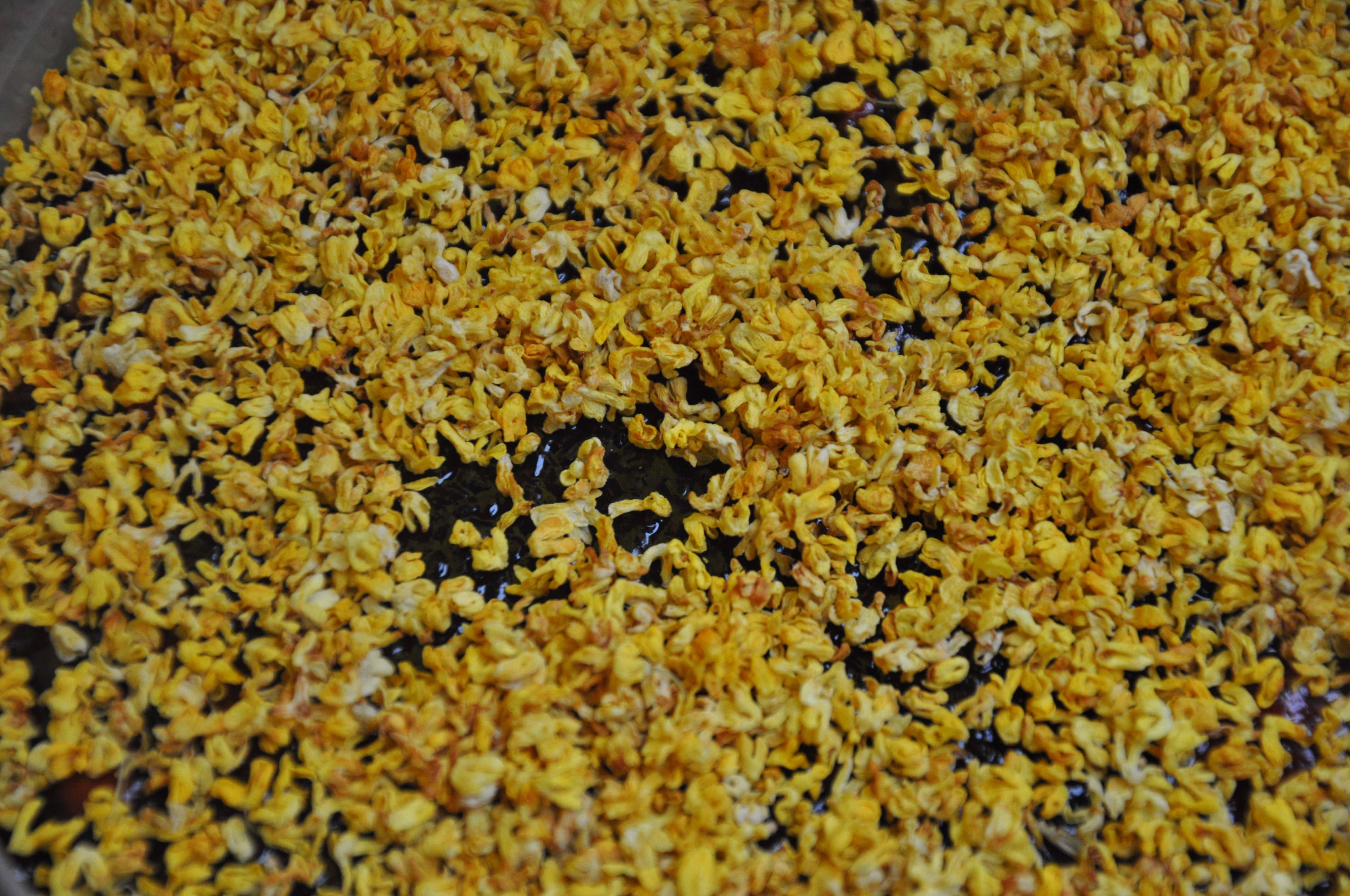 简单四招，教你辨识好阿胶！