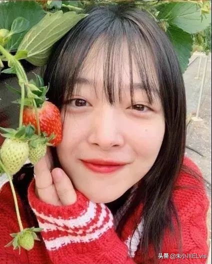 崔雪莉发型短发图片,崔雪莉短发发型图片