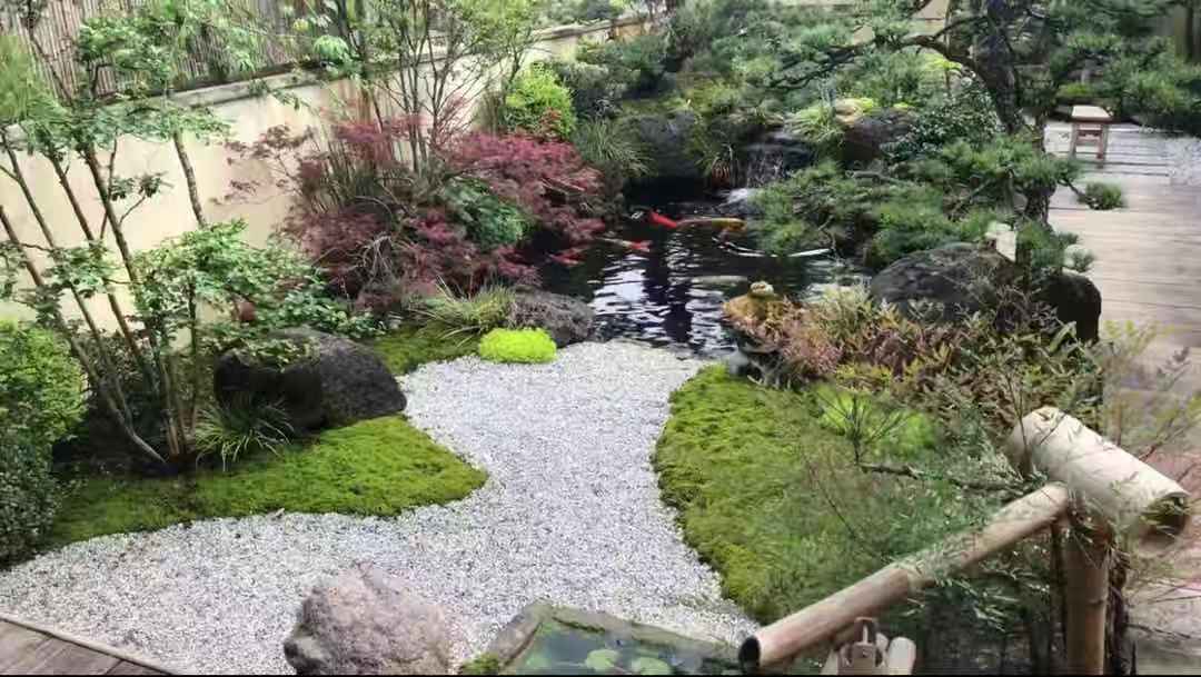 六大风格庭院植物配置全知道,庭院植物种植布局效果图