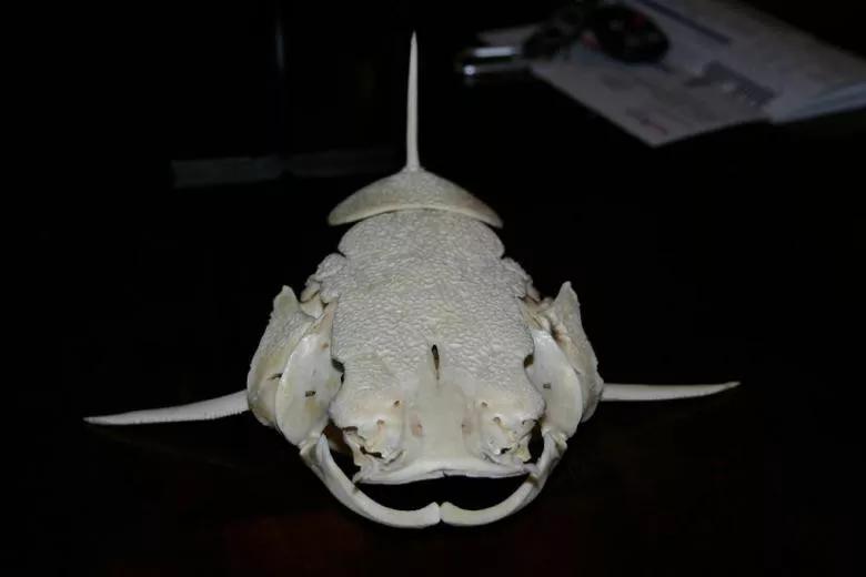 金座房地产开发有限公司怎么样,金座置业有前景吗