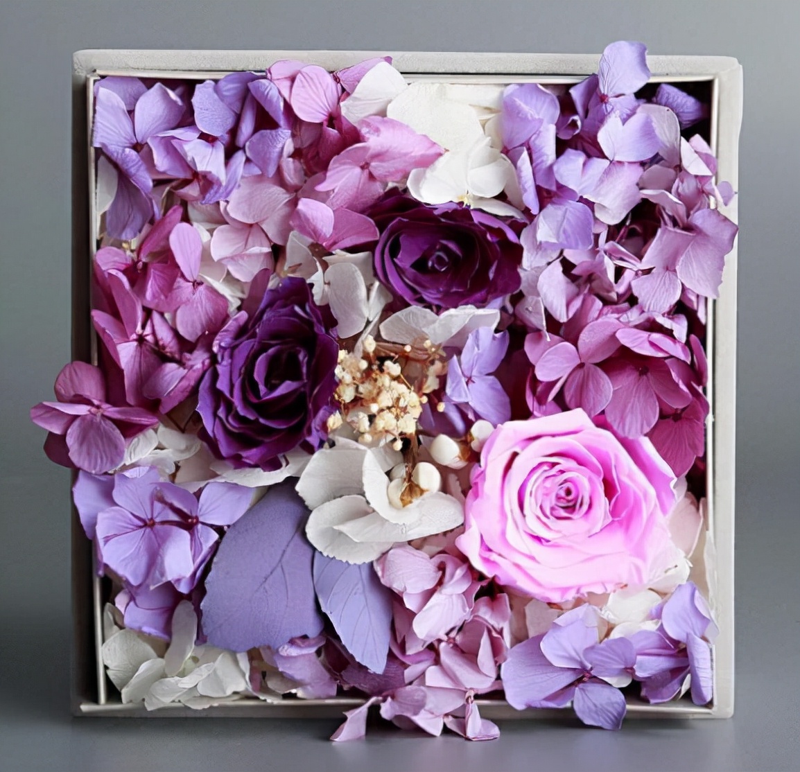 哪种花叫永生花,有种花叫永生花