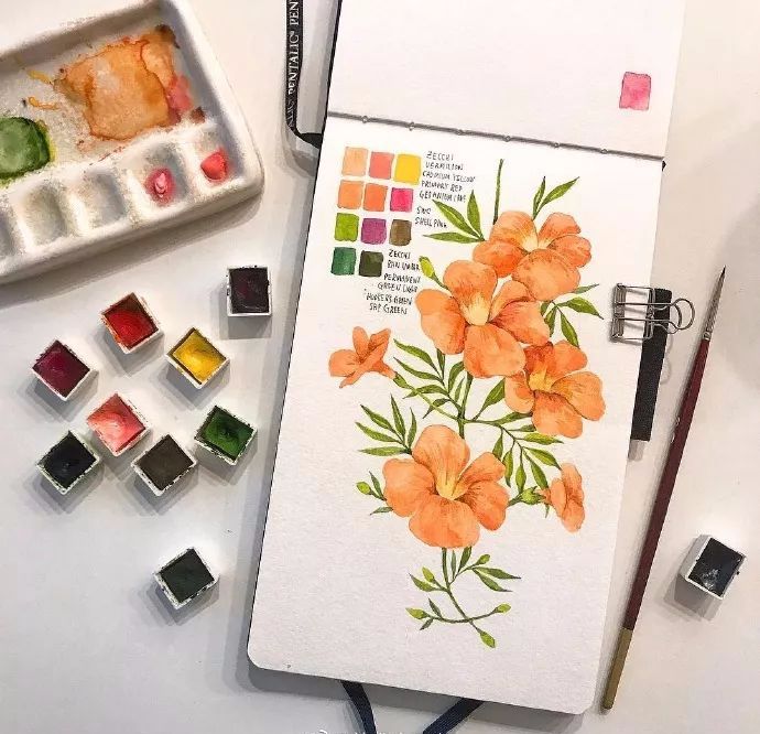 水彩画初学者的技巧和方法,画水彩需要注意的20点