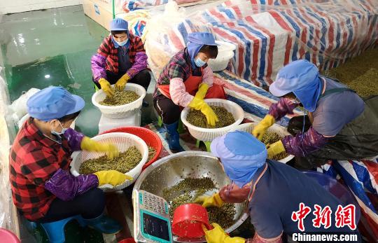 广西柳州正宗特产螺蛳粉,柳州螺蛳粉从路边摊走向网红产业