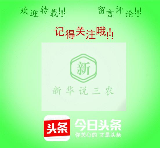 猪打疫苗过敏用地米要打多少,猪疫苗过敏反应抢救正确流程