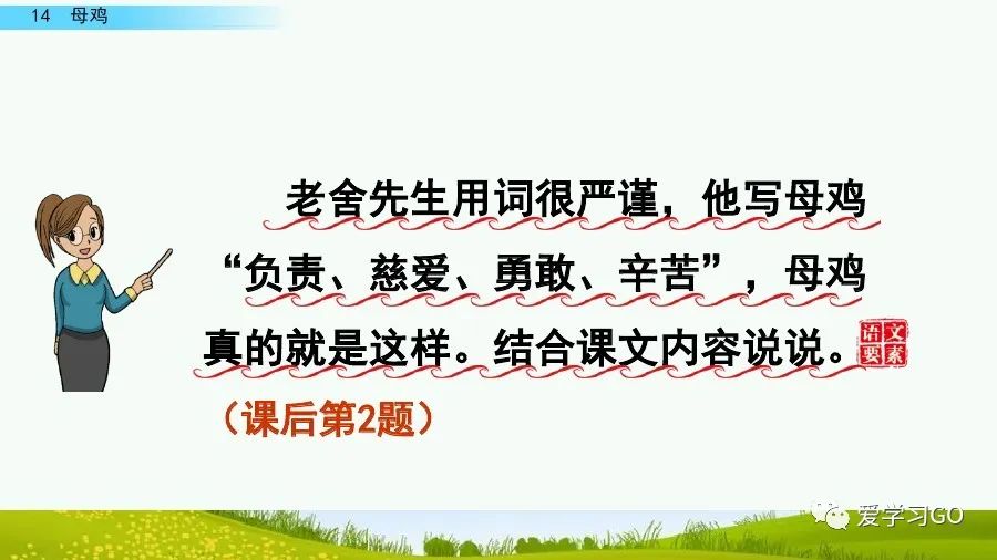 四年级下册语文母鸡课文重点讲解,四年级下册语文14课母鸡重点知识