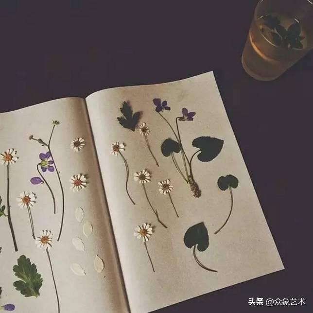 如何制作干花片,如何制作干花花束