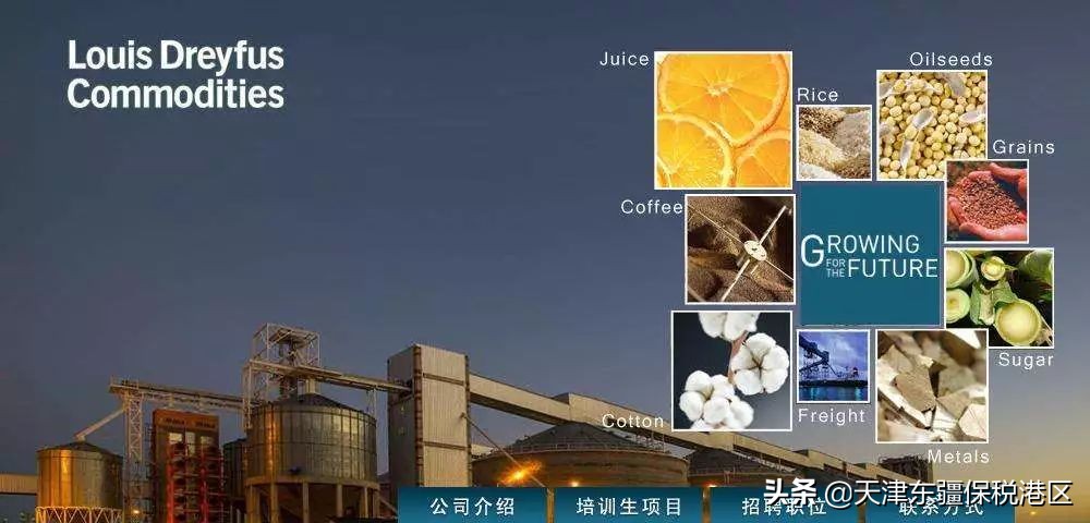 进博会四叶草领花,进博会收获购物袋