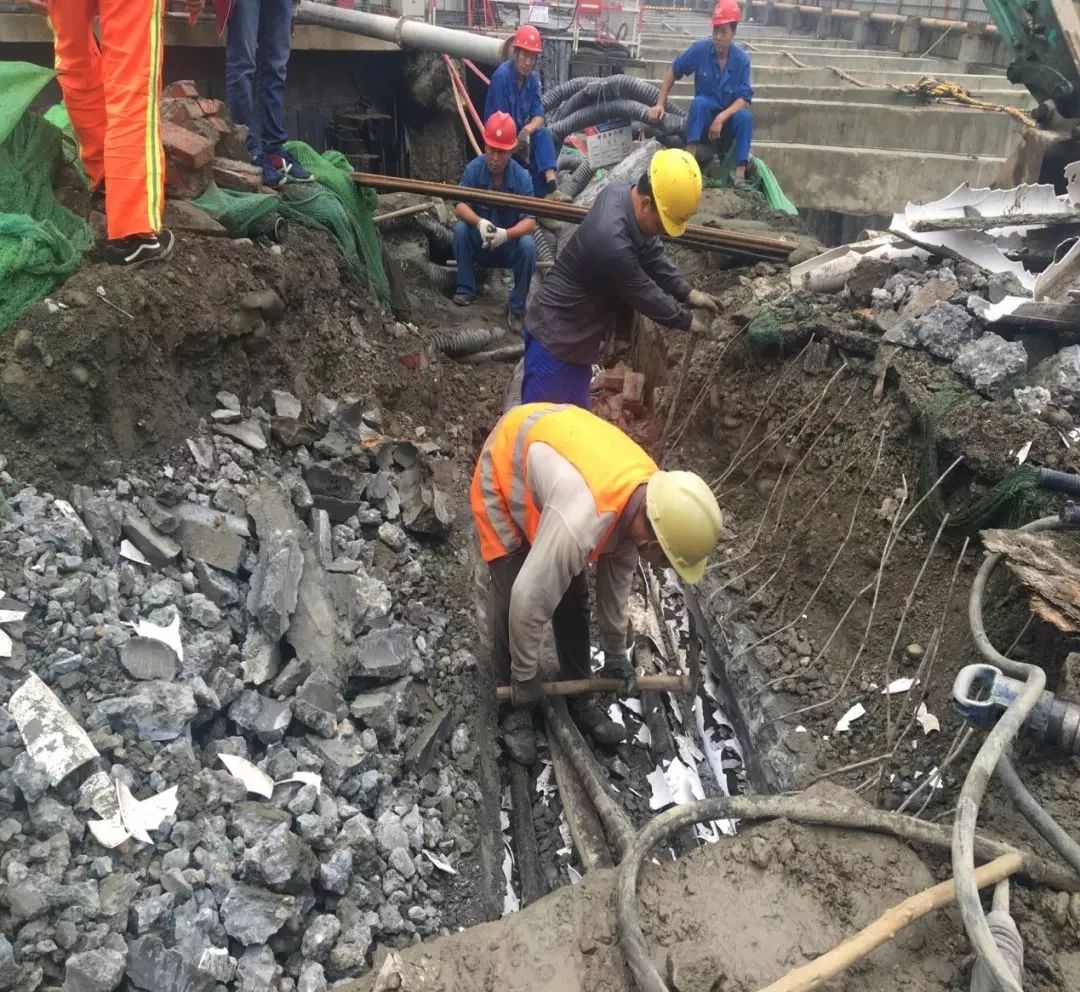 中医医院效果图,中医大省医院地铁站立体图