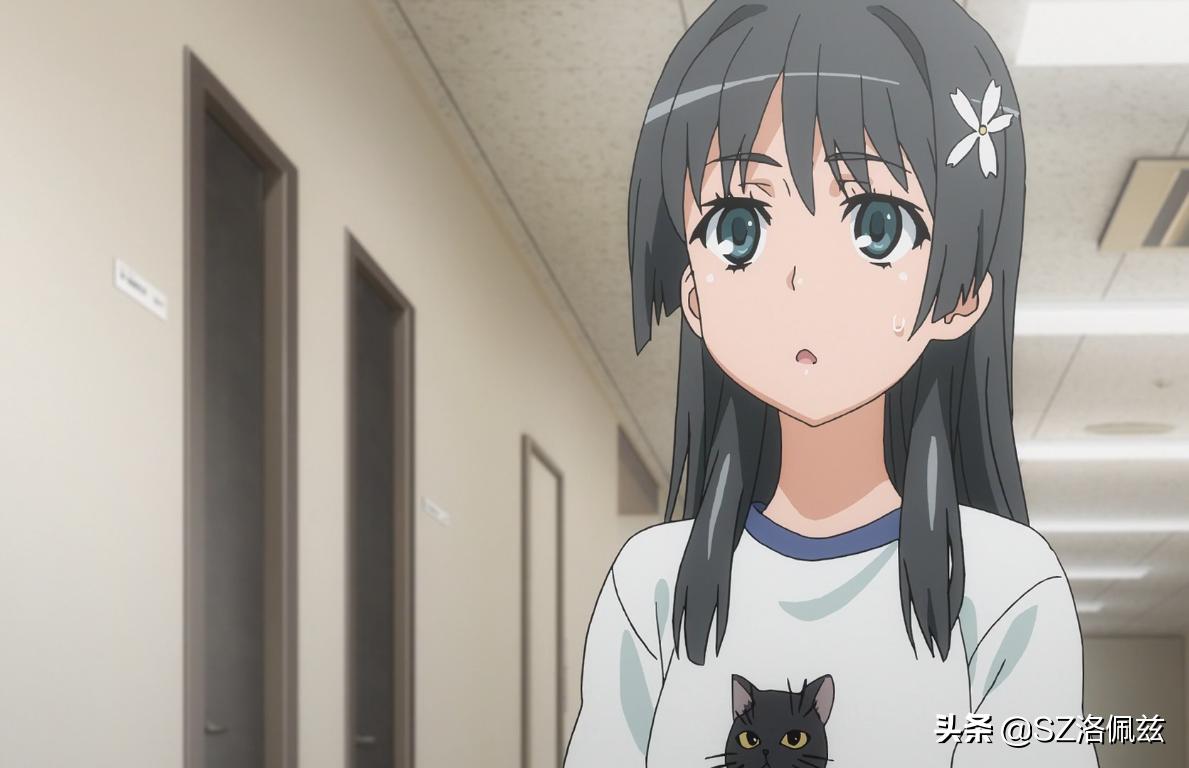 某科学超电磁炮t之后会更新吗,某科学的超电磁炮t属性