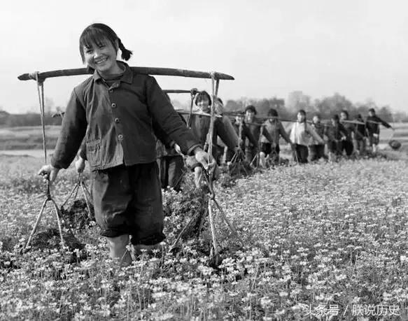 乡情散文珍贵的童年,怀念我的姐姐散文