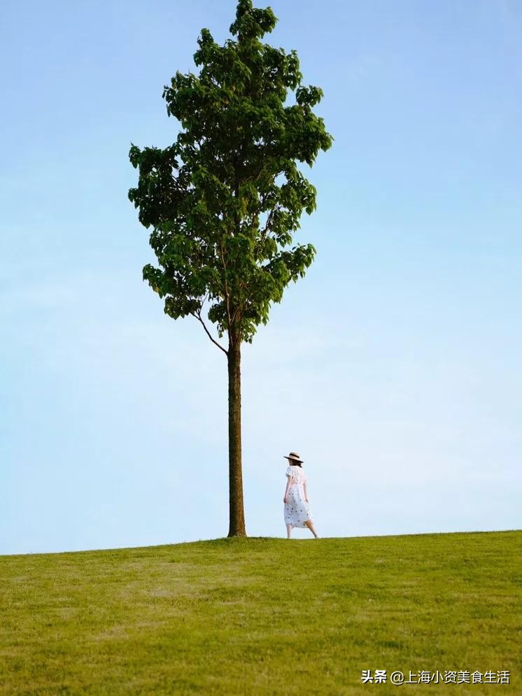 全世界十大网红打卡圣地,上海魔都网红打卡地写真