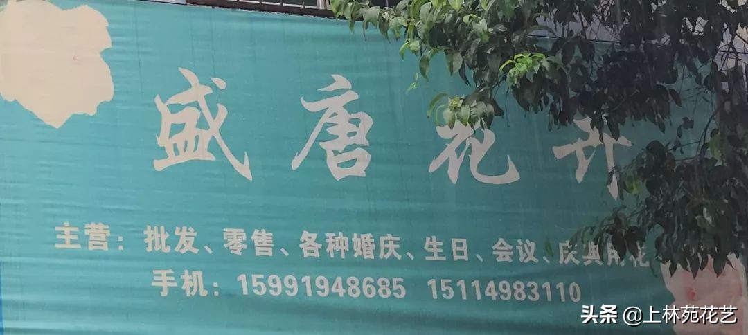 西安新年鲜花批发,西安鲜花店批发进货渠道