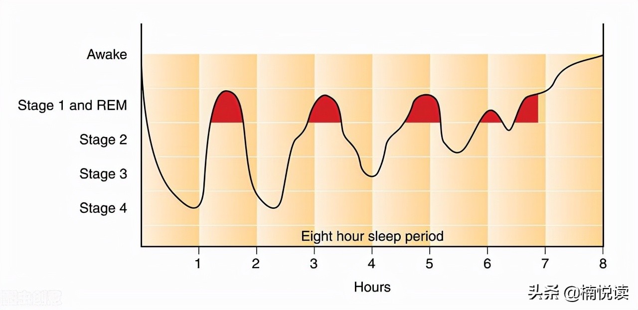 和孩子建立信任关系的教育方式,引导青春期孩子正确的认知