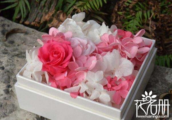 永生花一般多少钱一盒7大品牌永生花价格(89元-1999元不等)