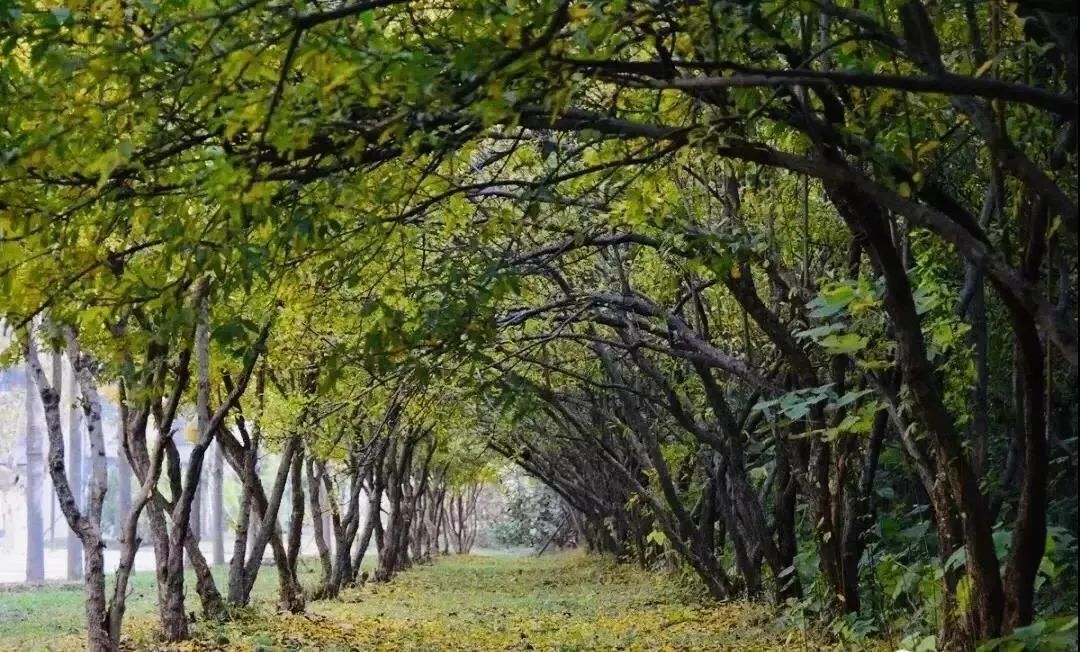 徐州生物工程职业学院2024年单招,徐州生物工程职业技术学院升本科