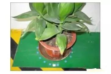 仓库5s管理内容和标准,厂区内公共区域5s管理标准