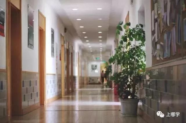 上海最好的十大民办初中,上海各区的顶级初中和一流初中