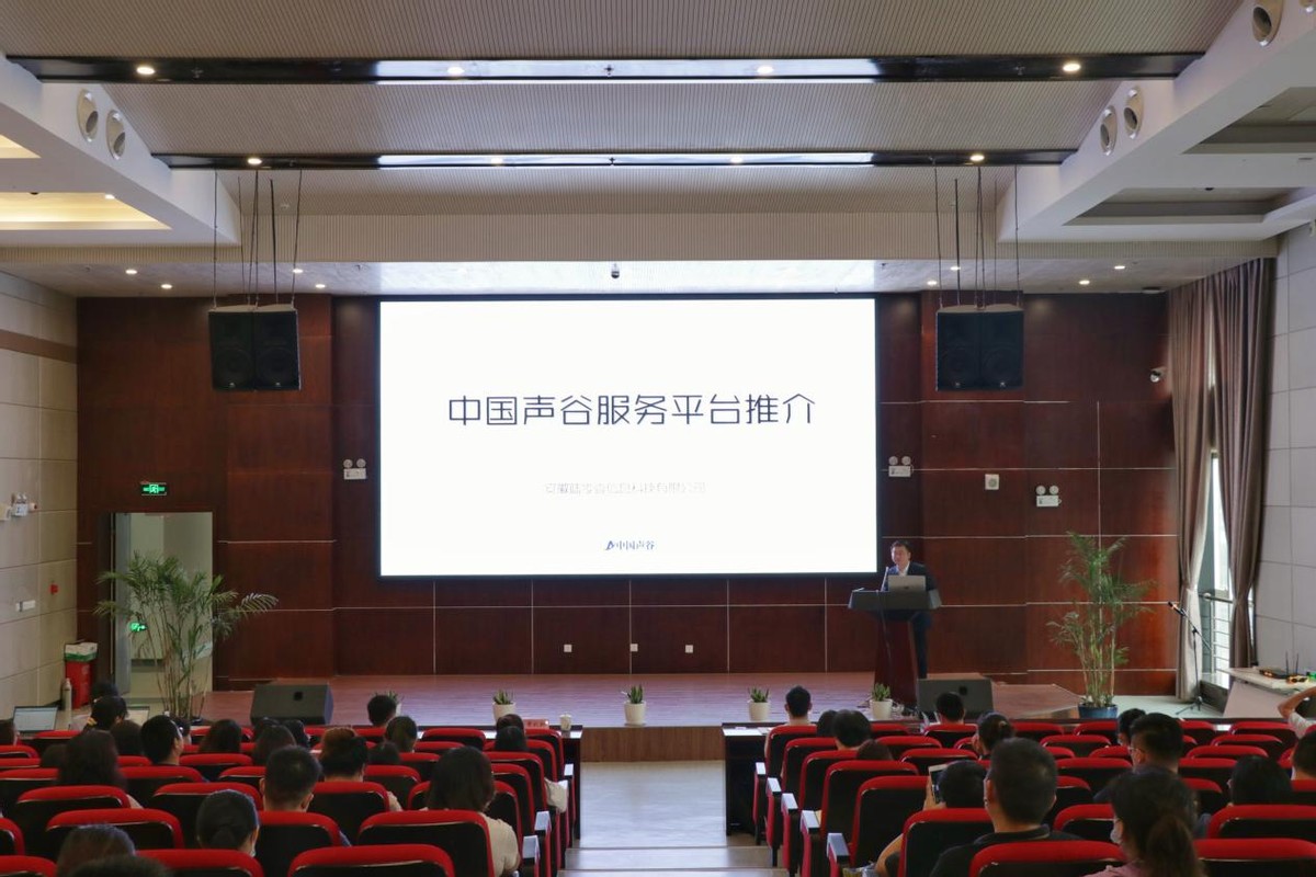 中国声谷产业发展,中国声谷构筑全球产业创新高地