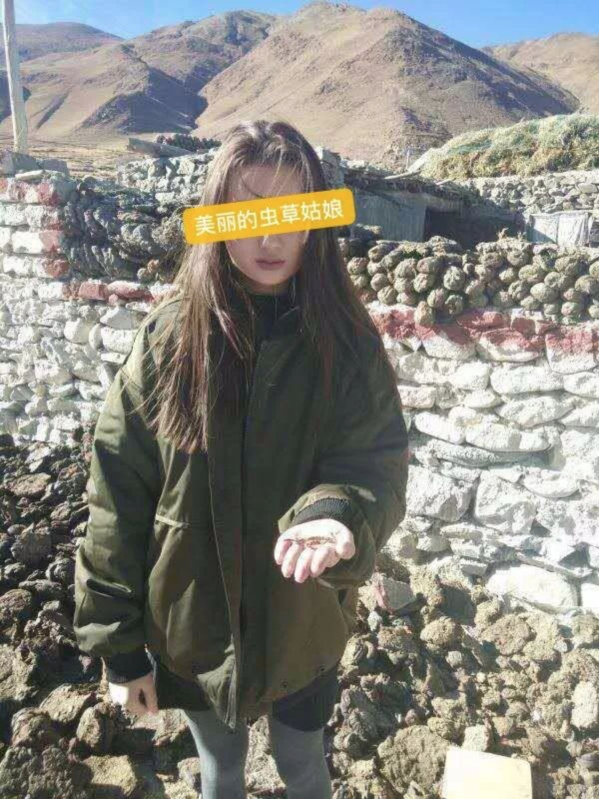 2018年虫草诈骗大案 (虫草诈骗案例)