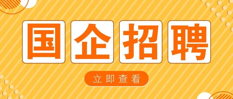 500强企业员工薪酬细则,500强企业待遇好吗