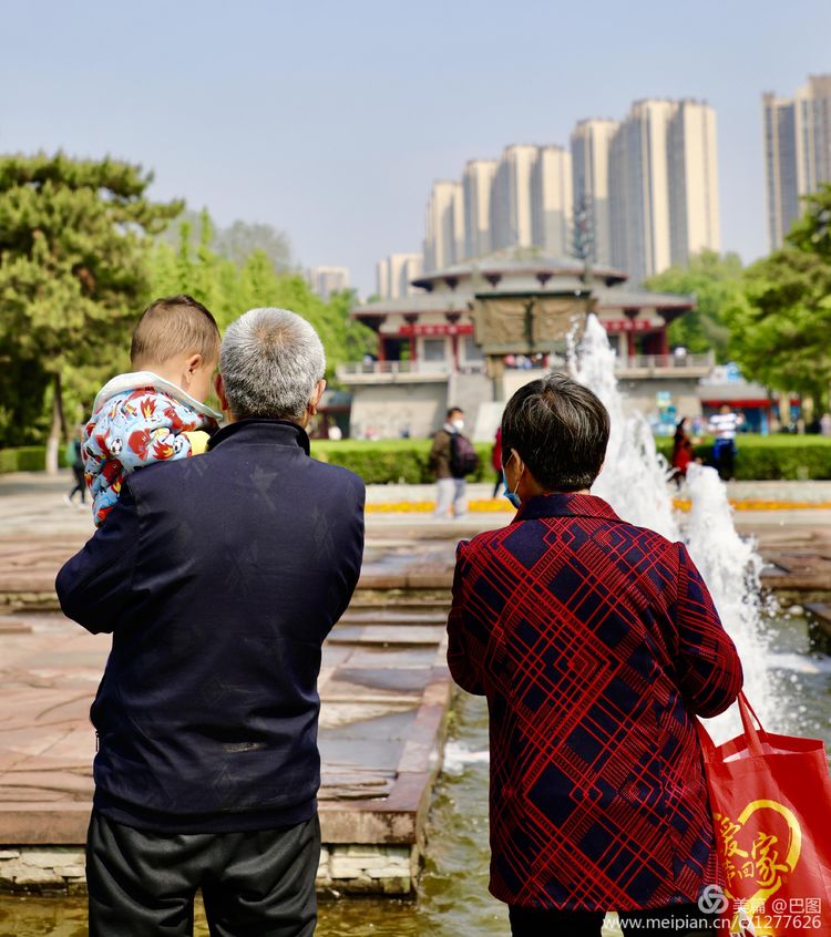 看洛阳牡丹花卉节,洛阳古都牡丹花展