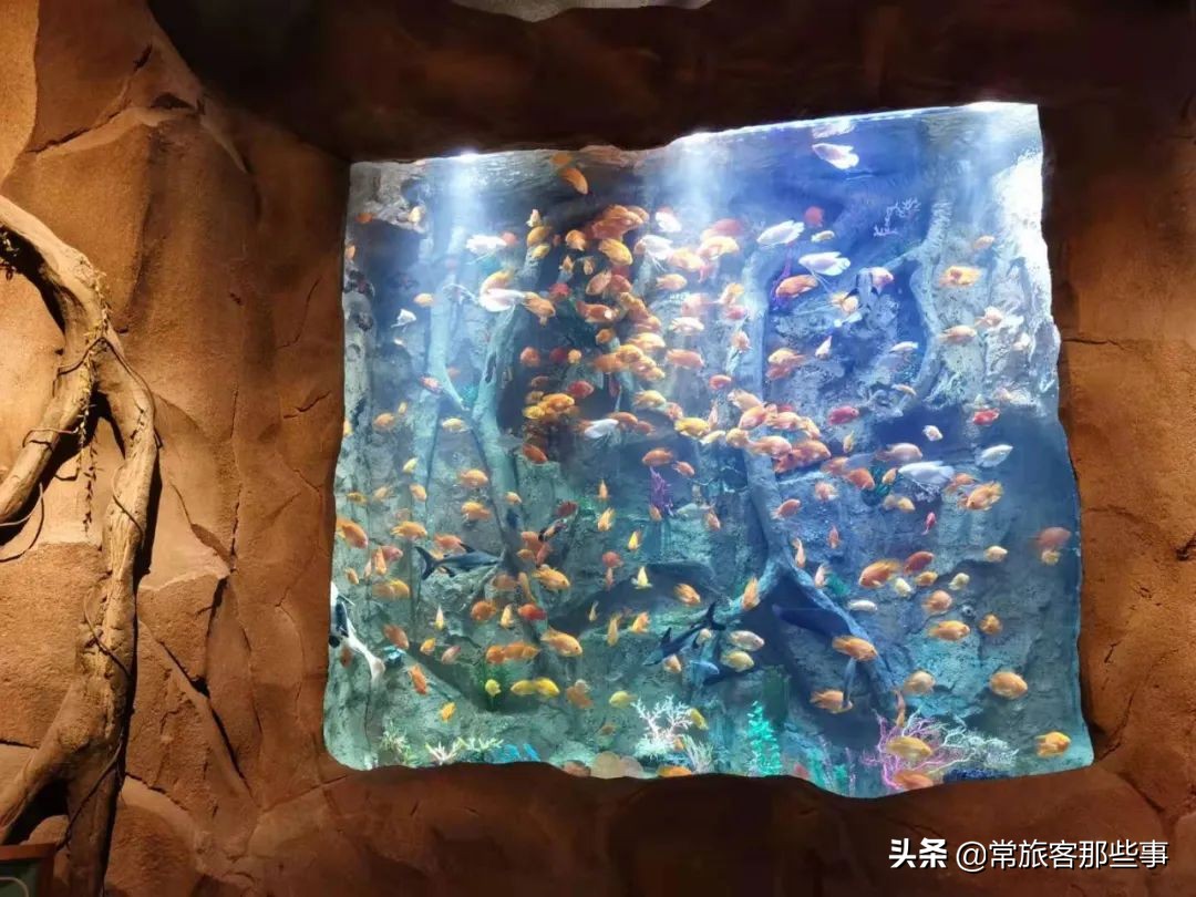 杭州开元森泊怎么样,杭州度假开元森泊