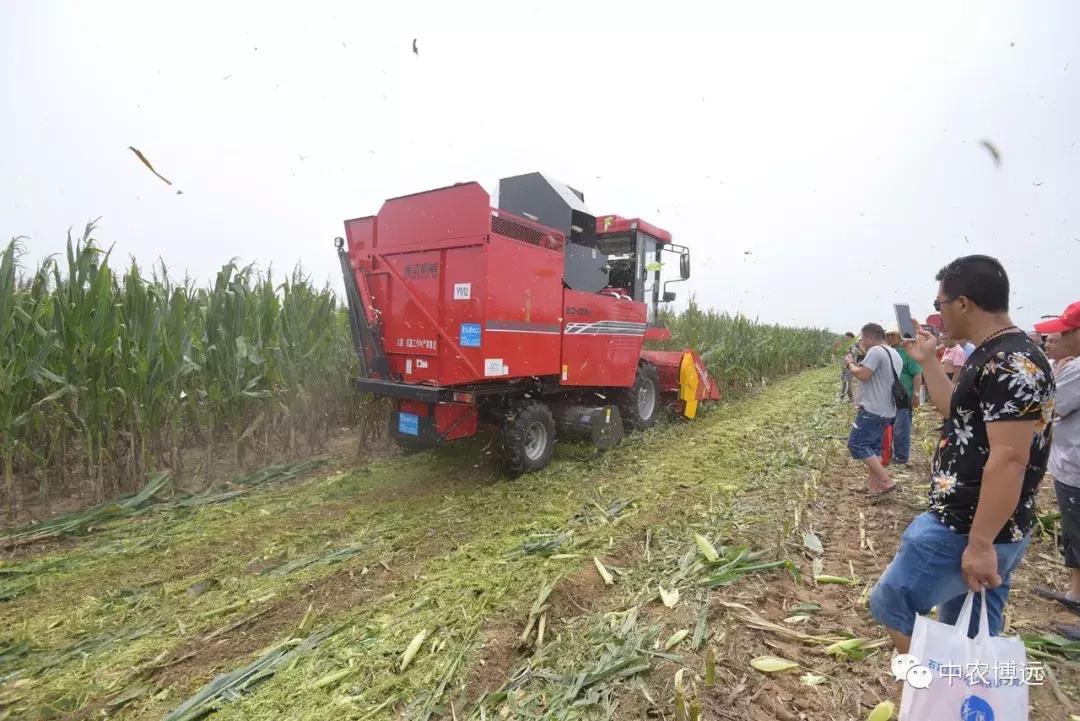 中农博远藁城,中农博远拖拉机