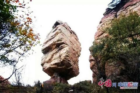 大可老师合集,大可老师讲座