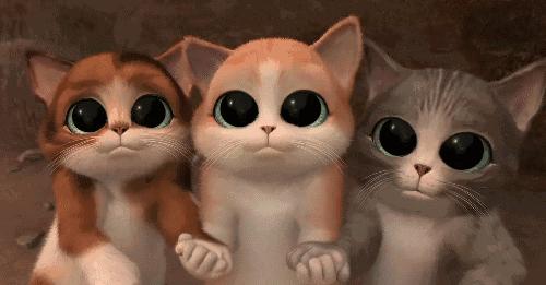 你不知道的国家冷知识(西班牙篇)