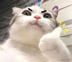 换季烂脸水乳,会烂脸的水乳