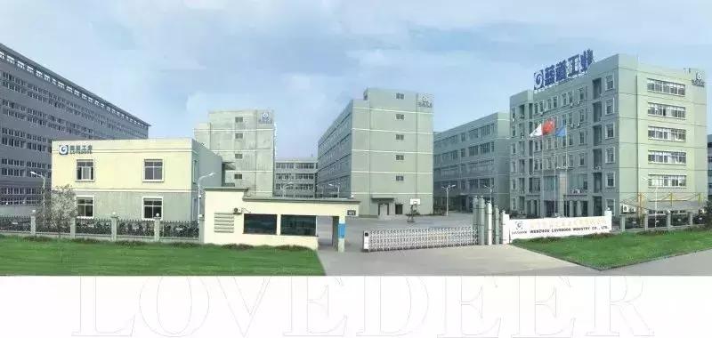 蓝道集团眼镜厂,蓝道集团logo