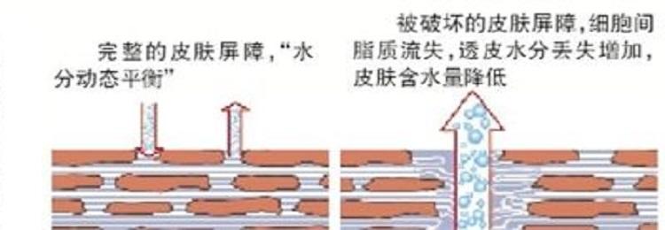 白富美就得靠补水！只知道敷面膜可不一定能得到好的效果