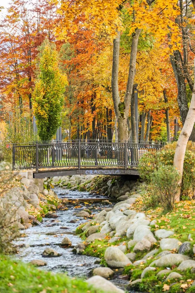 波兰记游记,波兰旅游攻略游记