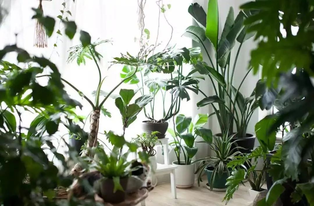 小夫妻98㎡家意外走红！登北京地铁广告，这个家才是都市里的奢侈