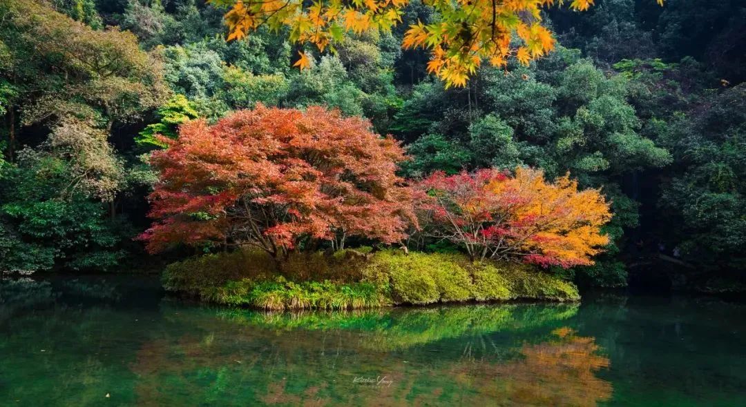 1011月错过它们，等于错过整个秋天！人少清净，随手一拍都是大片