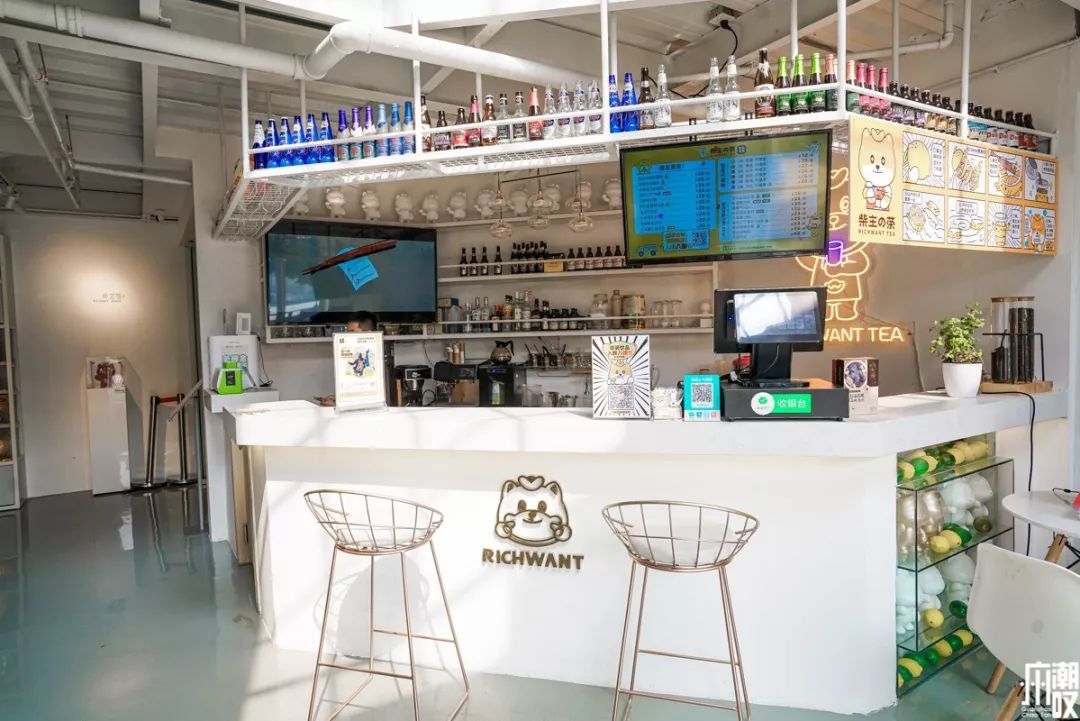 新潮展览+撸狗，广州这家新开的汪星人主题店萌爆了