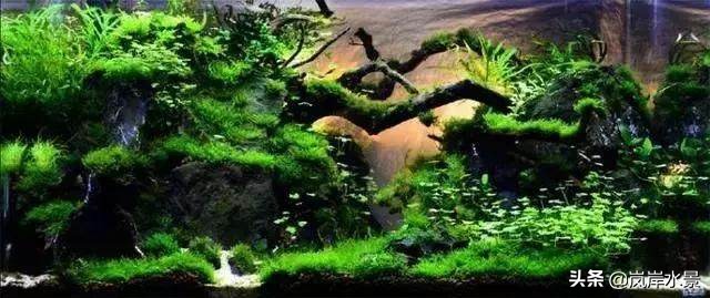 岚岸水景鱼缸,岚岸水景设计加盟