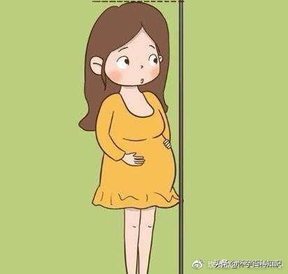 孕期检查7次,孕期必须做的六大产检