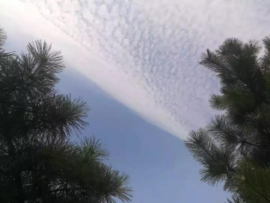 「真实故事」如何用一块钱拯救脱发少年?