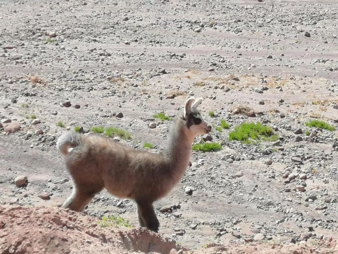 鍚屽浣犲ソ褰曟挱,鍚屽浣犲ソ灞变笢鍗