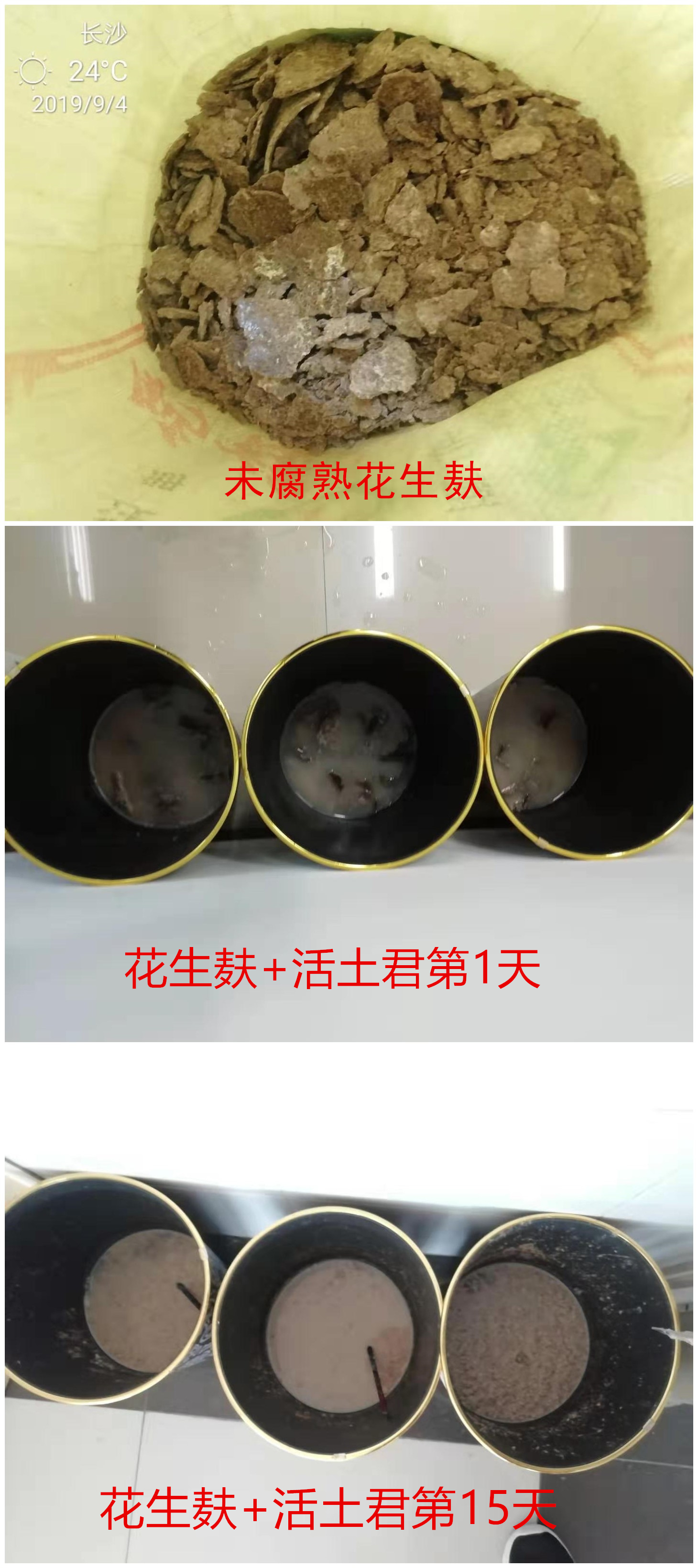 鸡粪能与木屑发酵吗,鸡粪木屑发酵比例