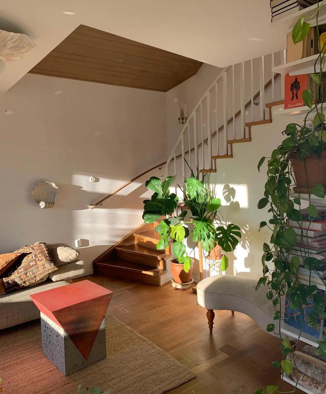 鍘昏В蹇ф潅璐у簵,鍘昏В蹇ф潅璐у簵瑙e咖