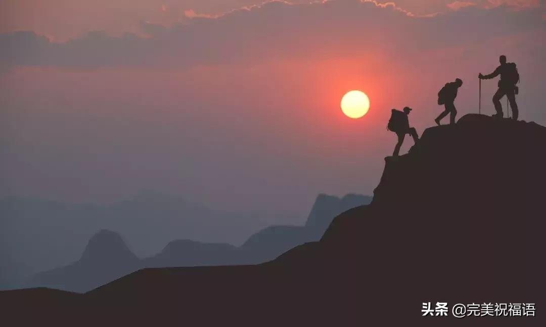 渡人渡己更难,渡人渡己小说完整版