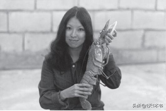 三毛新书,三毛首部小说