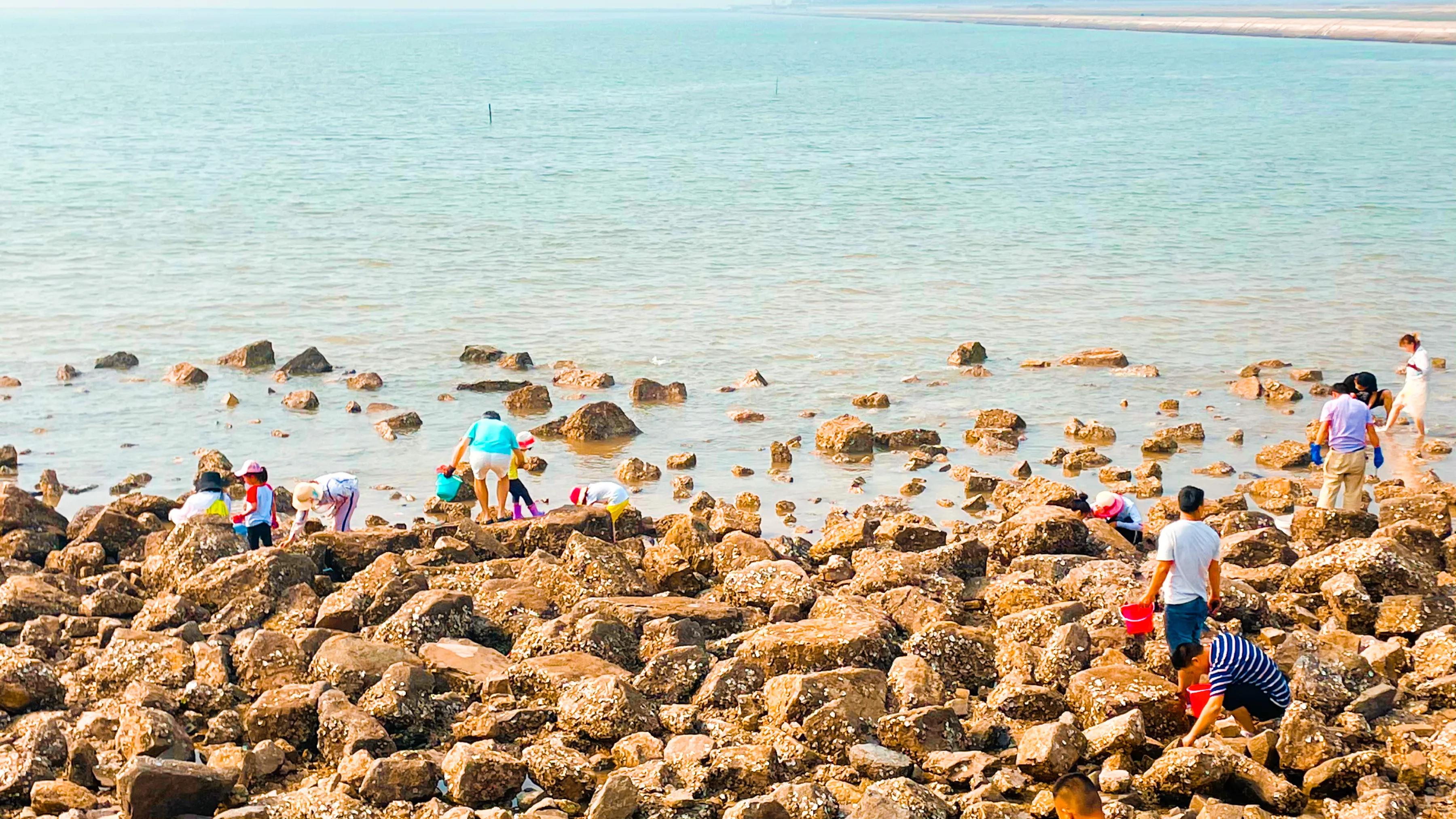 自驾北戴河海边攻略,北戴河旅游赶海