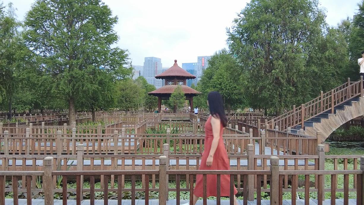 一处清净之地,五缘湾湿地公园风景如画