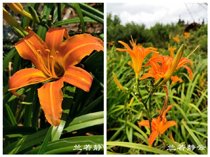福建永泰云顶山风景图片,福州永泰云顶风景如画成避暑胜地
