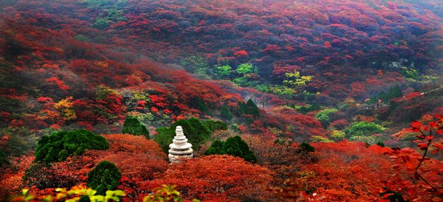 在山东秋天适合去哪儿旅游,山东秋季旅游去哪里好玩