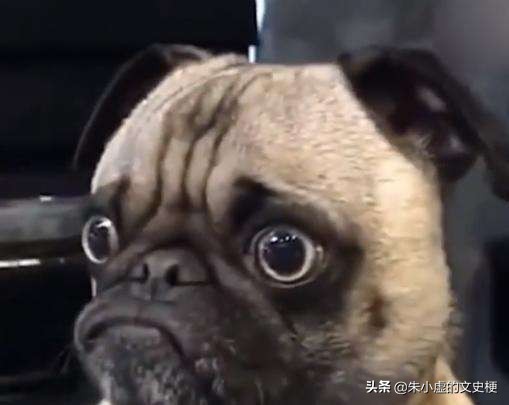 寒门再难出孝子辩论,寒门再难出孝子原文