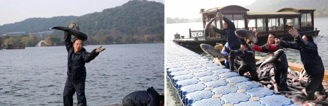 大过中国年高清原图,大过中国年